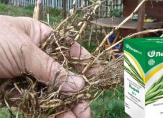 როგორ მოვირჩინოთ დაავადებული სახსრები? – გამოსავალი მარტივია