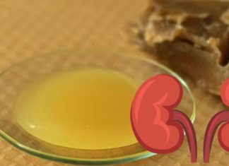 სულ ახლახანს აღმოვაჩინე რომ პროპოლისის ზეთი უებარი მკურნალი ყოფილა ფილტვების დაავადებების