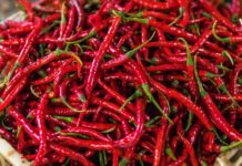 წიწაკის გასაოცარი სამკურნალო თვისებები, რომელიც ყველამ უნდა იცოდეს