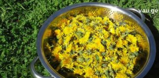 ათეროსკლეროზის მკურნალობა სახლის პირობებში სწრაფი და ეფექტური რეცეპტებით