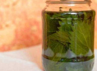 სკლეროზი გტანჯავთ და არ იცით რა მოიმოქმედოთ? მაშინ ეს სტატია თქვენთვისაა