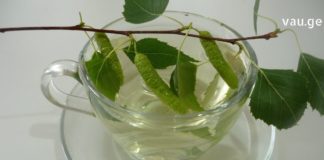 თირკმელებში კენჭების დაგროვება საკმაოდ გახშირებული პრობლემაა – არყის ხის ფოთლები შესანიშნავად ახერხებს მათ დაშლას