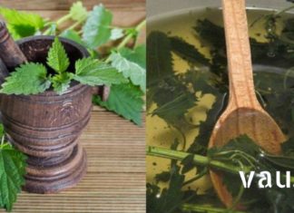 ჭინჭრის ბალზამის განმაცვიფრებელი შედეგები. 1231235412421