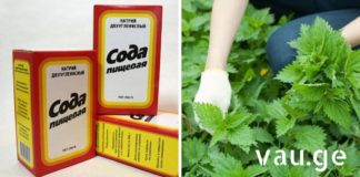 5 წარმოუდგენელი მეთოდი, რომელსაც ჩვენი წინაპრები იყენებდნენ და ნამდვილად ეფექტური იყო vau.ge (1)