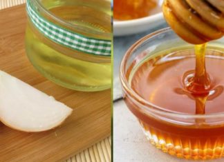 გონებრივი გამოფიტვისა და ქრონიკული დაღლილობის სინდრომის საუეთესო წამალი მოიპოვება ხალხურ მედიცინაში