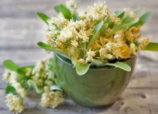 სიცხის დამწევი ნატურალური საშუალებები – ამის ცოდნა ყველას გვჭირდება