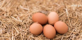 რისი განკურნება შეუძლია ქათმის კვერცხს?