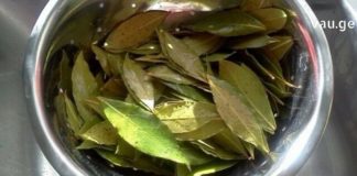 დაფნის ნახარში : ორგანიზმს ათავისუფლებს მარილებისგან