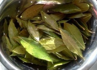 დაფნის ნახარში : ორგანიზმს ათავისუფლებს მარილებისგან