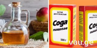 ქოლესტერინისა და მაღალი წნევის ნორმალიზება – აფთიაქებში ფულის ხარჯვა აღარ დაგჭირდებათ vau.ge (4)