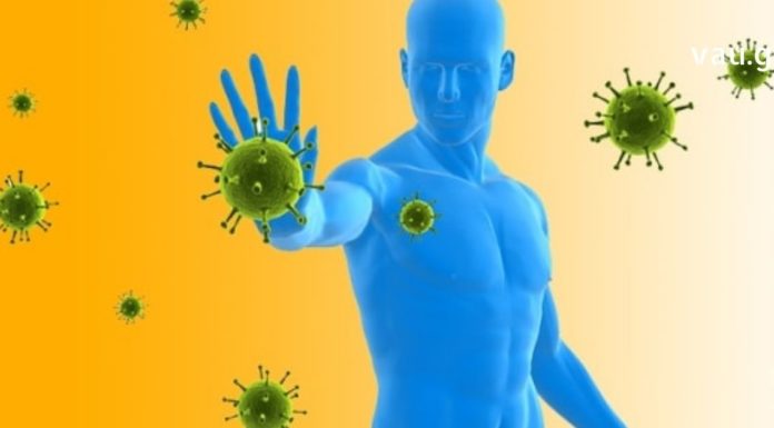 შეხვდით ზამთარს მომზადებული – საუკეთესო რეცეპტები ხალხური მედიცინისგან