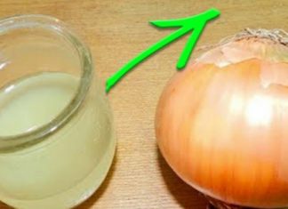 საშარდე გზებში კენჭების დაშლის უებარი საშუალება