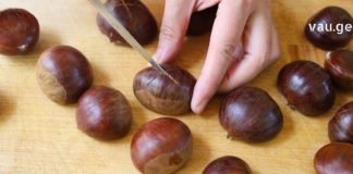 ბუასილის დროს ეფექტურია წაბლის ქერქი