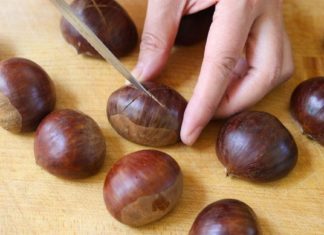 ბუასილის დროს ეფექტურია წაბლის ქერქი