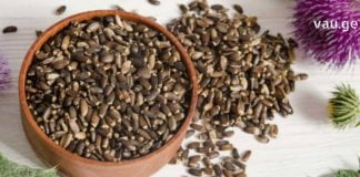 სენსაციური აღმოჩენა : ბაყაყურას თესლის დადებითი თვისებები