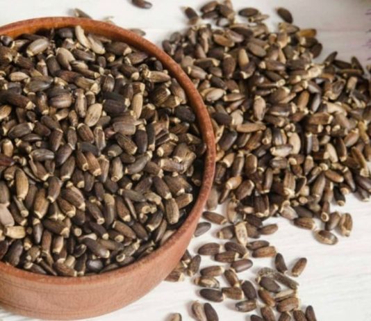 სენსაციური აღმოჩენა : ბაყაყურას თესლის დადებითი თვისებები