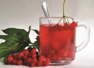 წითელი ძახველი წარმატებით უმკლავდება ბუასილით გამოწვეულ მტანჯველ დისკომფორტს