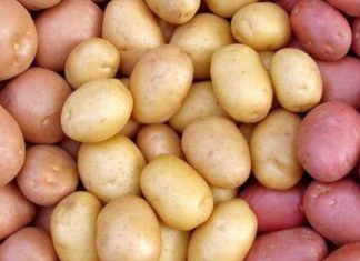 რა დანიშნულება აქვს კარტოფილს ხალხურ მედიცინაში ?!