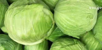 კომბოსტოთერაპია: ყველაზე მძიმე პაციენტსაც კი დააყენებს ფეხზე