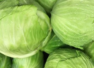 კომბოსტოთერაპია: ყველაზე მძიმე პაციენტსაც კი დააყენებს ფეხზე