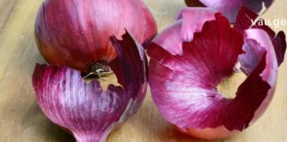 ამ სტატიის წაკითხვის შემდეგ ხახვის ქერქს არასდროს გადაყრით