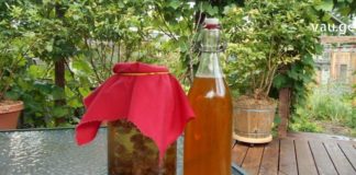 იცოდით, რომ ძმარში დალბობილი ქიშმიში სისხლძარღვებს საოცრად ასუფთავებს