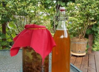 იცოდით, რომ ძმარში დალბობილი ქიშმიში სისხლძარღვებს საოცრად ასუფთავებს