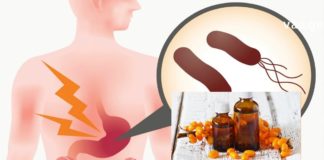 ქაცვის ზეთი არაჩვეულებრივია გასტრიტის სამკურნალოდ – ეს რეცეპტი ბებიამ მასწავლა