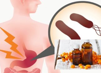 ქაცვის ზეთი არაჩვეულებრივია გასტრიტის სამკურნალოდ – ეს რეცეპტი ბებიამ მასწავლა