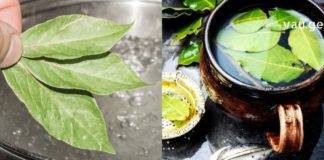 იმუნიტეტის გაზრდა ზამთარში ყველა ჩვენგანის მიზანია – ამ მეთოდებით მიიღებთ ძლიერ იმუნიტეტს ნაკლები დანახარჯებით