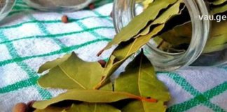 არავითარი ვარიკოზი, მეხსიერების ჩამორჩენა და თავის ტკივილი აღარ იარსებებს ამ ფოთლების წყალობით