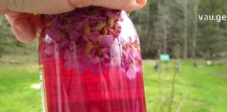 გსმენიათ იის ძმარის შესახებ? წაიკითხეთ ეს სტატია და გაიგეთ როგორ მზადდება და რისთვის გამოიყენება ის