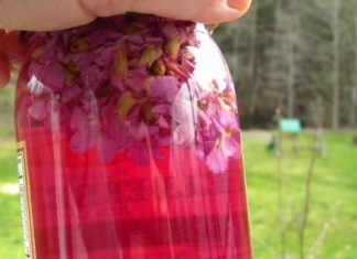 გსმენიათ იის ძმარის შესახებ? წაიკითხეთ ეს სტატია და გაიგეთ როგორ მზადდება და რისთვის გამოიყენება ის