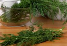 თუ თქვენ გსურთ სისხლძარღვების გაწმენდა, გაგიზიარებთ საოცრად სასარგებლო რეცეპტებს