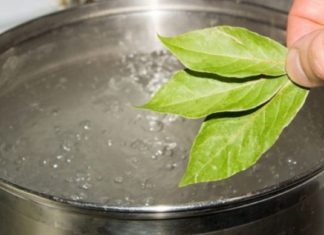 რატომ უნდა დალიოთ დაფნის ნახარში? Დაფნის ფოთლების ნახარში წარმატებით გამოიყენება ზოგიერთი დაავადების სამკურნალოდ.