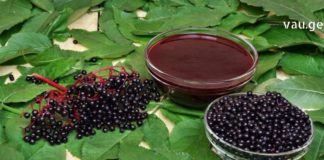 ანწლით დამზადებული წამალი – საოცრად სასარგებლო პროდუქტი