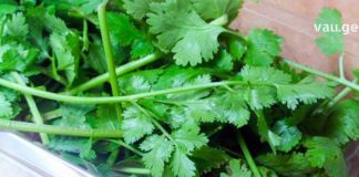 არ არსებობს წამალი, რომელიც შეედრება ამ საშუალებებს: მკურნალობს დიაბეტს, თირკმელებს, პანკრეასს, აუმჯობესებს მხედველობას, აცილებს დაგროვილ ცხიმებს და ა.შ.