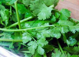 არ არსებობს წამალი, რომელიც შეედრება ამ საშუალებებს: მკურნალობს დიაბეტს, თირკმელებს, პანკრეასს, აუმჯობესებს მხედველობას, აცილებს დაგროვილ ცხიმებს და ა.შ.