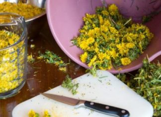 თუ თქვენ უენერგიობას უჩივით მაშინ ბაბუაწვერას მიანდეთ ენერგიის აღდგენა