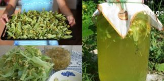 რეცეპტი, რომელიც ყველაზე მძიმე პაციენტსაც კი აყენებს ფეხზე