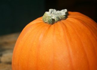 დაემშვიდობეთ მაღალ ქოლესტერინს და შაქარს გოგრის დახმარებით