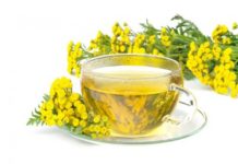 გსმენიათ ასფურცელას სამკურნალო თვისებებზე? – იაფი და ეფექტური წამალი