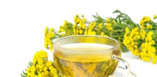 გსმენიათ ასფურცელას სამკურნალო თვისებებზე? – იაფი და ეფექტური წამალი