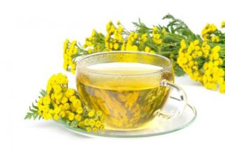 გსმენიათ ასფურცელას სამკურნალო თვისებებზე? – იაფი და ეფექტური წამალი