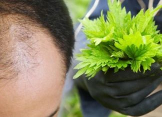 მას შემდეგ რაც თმის მოვლა ჭინჭრითა და კვერცხით დავიწყე სამუდამოდ შემიწყდა ცვენა