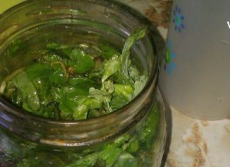 ქრისტესისხლას ბალახი: საოცრად სასარგებლო პროდუქტი, რომელიც მრავალი დაავადების მტერია