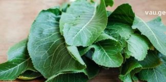 პირშუშხას ფოთლების სამკურნალო თვისებები – მისგან დამზადებული წამალი სასწაულებს ახდეს