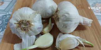 9 მიზეზი, რატომაც უნდა დაამატოთ მეტი ნიორი საკვებს – ანტიბაქტერიული, ანტივირუსული, სოკოს საწინააღმდეგო თვისებები და ა.შ.