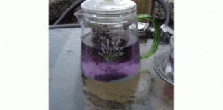 Როგორ მოვამზადოთ ლავანდის ლიმონათი თავის ტკივილისა და შფოთვის სამკურნალოდ