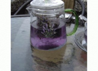 Როგორ მოვამზადოთ ლავანდის ლიმონათი თავის ტკივილისა და შფოთვის სამკურნალოდ